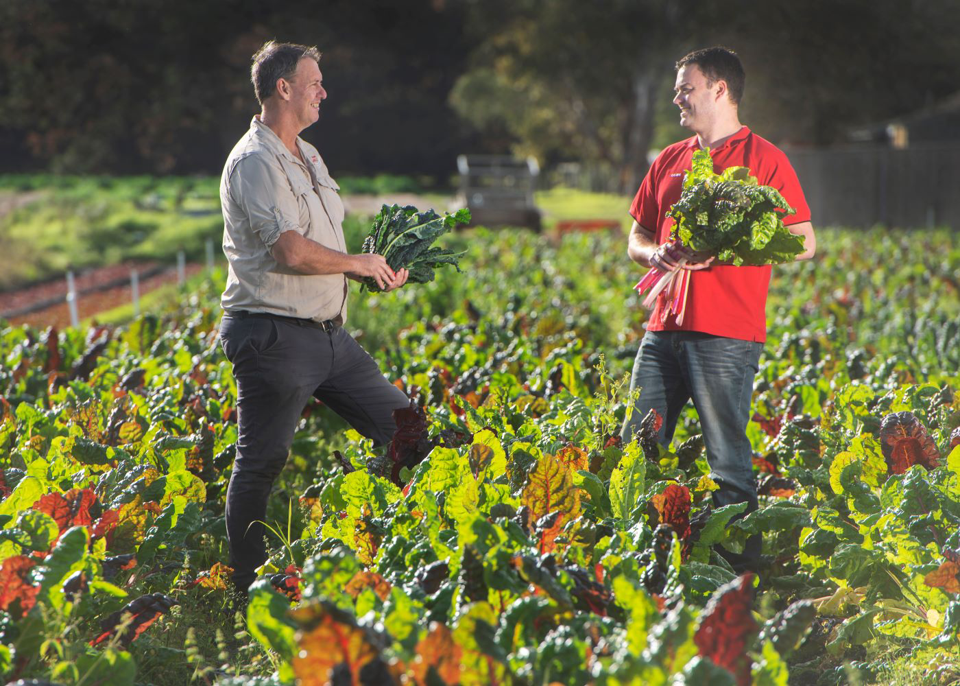 Peninsula Fresh Organics owner Wayne Shields is a Coles Nurture Fund grant recipient and Coles Fresh Produce Category Buyer Tim Johnston